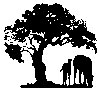 McIntosh.jpg (4458 bytes)